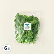 프리미엄 국내산 청상추, 120g, 6개