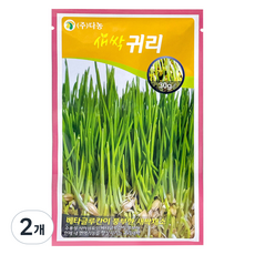 다농 새싹귀리 씨앗 30g, 2개 2개