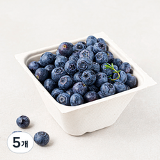 산지직송 아주마 무농약 인증 영동 블루베리, 250g, 5개