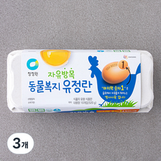 청정원 자유방목 동물복지 인증 유정란 1번 520g, 10구, 3개