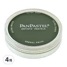 팬파스텔 신한화구 파스텔 PERMANENT GREEN EXTRA DARK 640.1 9ml, 1색, 4개