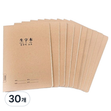 빅마운트앤컴퍼니 가로넘김 양면 한어병음표 중국어 노트 B5, 30개, 미색