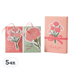 모던하우스 마음을담아 카네이션 사쉐 피치 13g x 2종 세트, 5세트