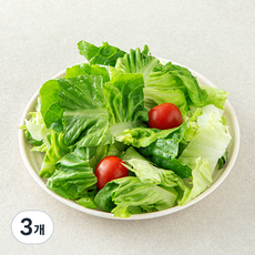 데일리 방울토마토 믹스 파우치 샐러드 채소, 80g, 3개, 1개입