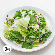팜에이트 패밀리 샐러드, 500g, 3팩