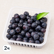 곰곰 친환경 제주 블루베리, 200g, 2팩