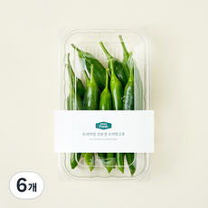 프리미엄 오이맛고추, 400g, 6개