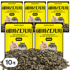 햄찌펫 햄스터 해바라기씨 간식, 500g, 10개