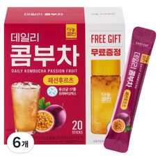 다농원 데일리 콤부차 패션후르츠, 5g, 20개입, 6개
