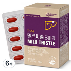 대상웰라이프 밀크씨슬 B파워 21g, 30정, 6개