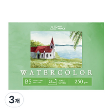 DOOSUNG PAPER Art Prince 水彩畫專用無線素描本 250g W09, 3個, 25張, B5