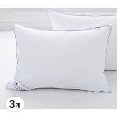 아임리빙 다운필베개솜, 화이트, 3개