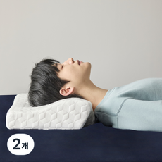 PROTECT-A-BED Allerseal 天絲3D護頸防水記憶枕, 2個, 白色