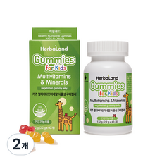 허벌랜드 키즈멀티비타민미네랄 식물성 구미젤리, 2개, 132g