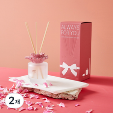 Modern House 傳達心意的康乃馨造型擴香瓶, 2個, 康乃馨, 200ml