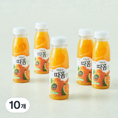 따옴 빙그레 천혜향 한라봉 청귤 주스, 235ml, 10개