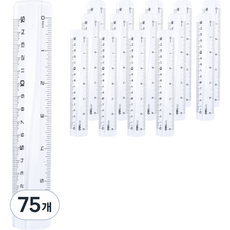 델리 잡기 쉬운 자 15cm, 투명, 75개