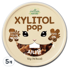 자일리톨팝 틴케이스 시나몬, 70g, 5개
