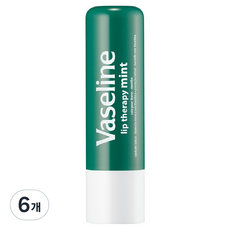 바세린 스틱 케어 립밤, 민트, 4.8g, 6개