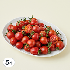 올푸릇 무농약 인증 대추방울토마토, 500g, 5개