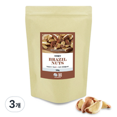견과공장 브라질너트 Medium, 500g, 3개