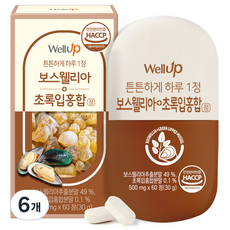 로엘 보스웰리아 초록입홍합 정 영양제 30g, 60정, 6개