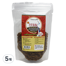 내츄럴한 열풍 건조 밀웜 리필, 100g, 5개