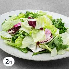 롯데푸드 믹스 3종 샐러드, 800g, 2개