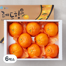 당도선별 제주 위미농협 레드향, 3kg(대과, 8~11입), 6박스