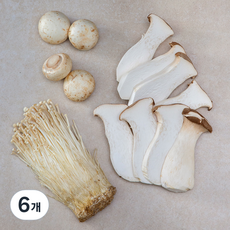 패밀리 구이용 모둠버섯, 400g, 6개
