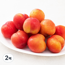 대석자두 M, 800g(13~15과), 2팩