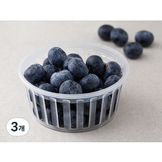 곰곰 GAP 국내산 블루베리 왕특, 100g, 3개