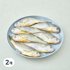 산지직송 일품 법성포 선별참조기 (냉장), 2개, 490g(중, 7미)