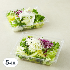 곰곰 캐비지 앤 어니언 콤보팩 샐러드채소 캐비지 + 어니언 소프트 세트 160g, 2개입, 5세트