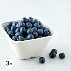 아주마 GAP 인증 산지직송 인디고 블루베리, 3개, 250g
