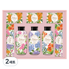 LG생활건강 보타닉 퍼퓸 에디션 P호 선물세트 + 쇼핑백, 2세트