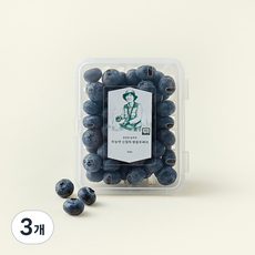 문선진 농부의 무농약 신칠라 왕블루베리, 200g, 3개