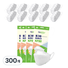 휴그린 미세먼지차단 황사 마스크 대형 KF80, 1개입, 300개