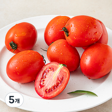 광식이농장 GAP 인증 에그토마토, 5팩, 1kg
