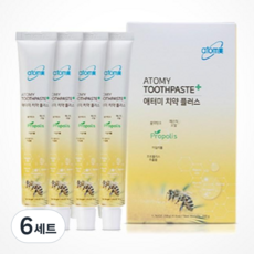 애터미 콤팩트칫솔 8p + 치약 50g x 4p, 6세트
