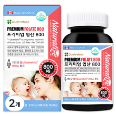 Naturalize 優質葉酸800, 90顆, 2瓶
