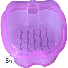 Darnina 假牙收納盒 透明紫色, 1入, 5個