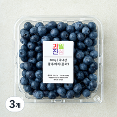 국내산 과일진심 블루베리, 3개, 300g(중과)