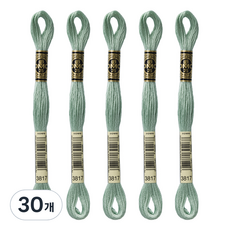 브랜드얀 DMC 자수실 25번 면사, 3817, 30개