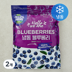 그린팜 칠레산 블루베리 (냉동), 2개, 1kg