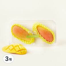온브릭스 땡큐레이션 마하차녹 망고, 780g, 3개