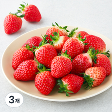다조은 새벽경매 설향딸기 대과, 500g, 3개