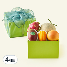 온브릭스 과일 5종 옐로우그린 1호 + 보자기, 4세트