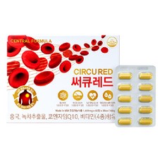 CENTRAL FORMULA 輔酶Q10綜合維他命保健錠, 120顆, 1組