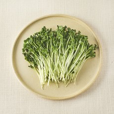 국내산 무농약 무순, 60g, 1개